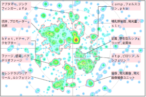 バイオインフォマティクスにおけるルシフェラーゼに関する技術
